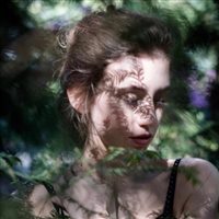 6686体育首席作者Elsa