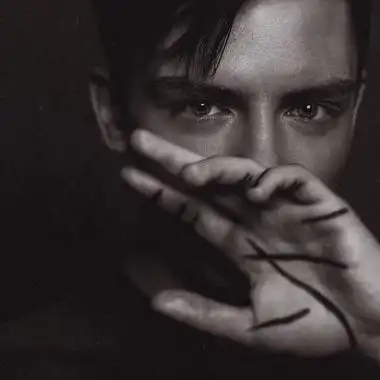 6686体育合作伙伴野的像风