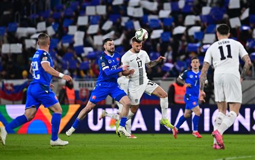 สโลวาเกีย vs สโลวีเนีย