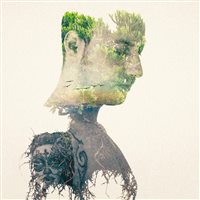 เบ็คเก็ตต์